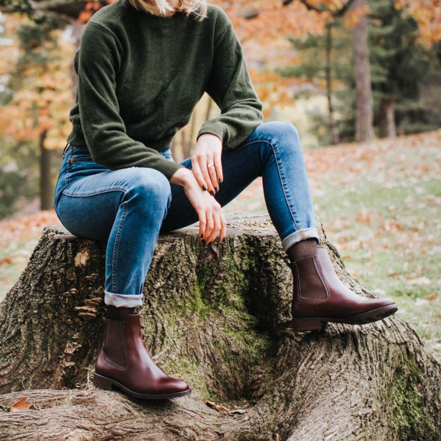 Hertogin Dinsdag Bruin