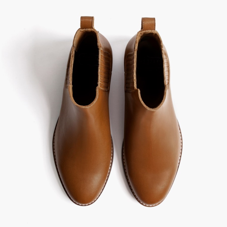 Nootmuskaat Zaterdag Dromer